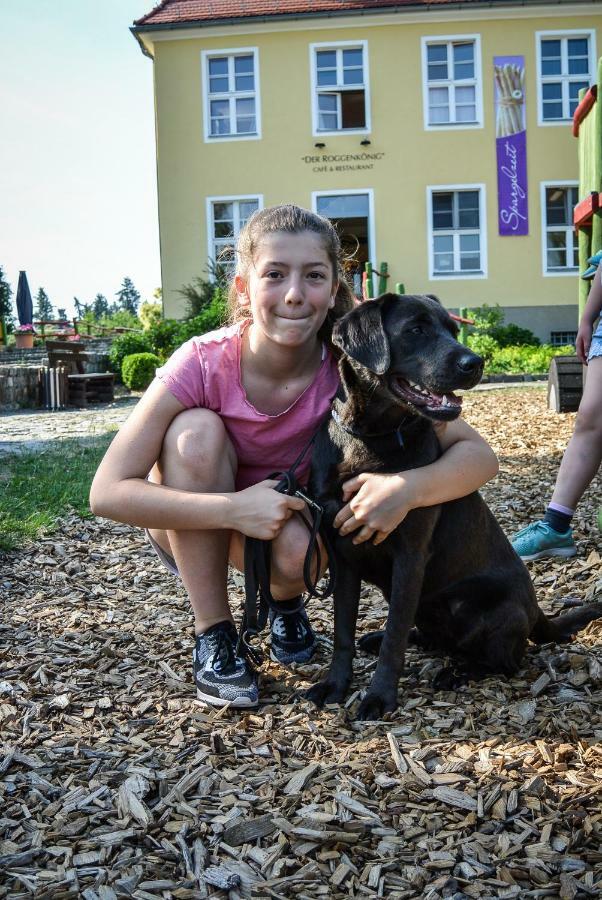 Familien- Und Freizeithotel Gutshaus Petkus المظهر الخارجي الصورة